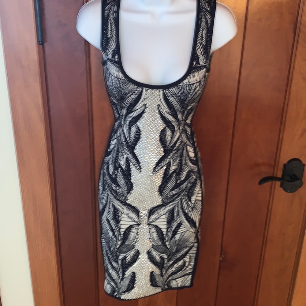 Herve Leger Dress